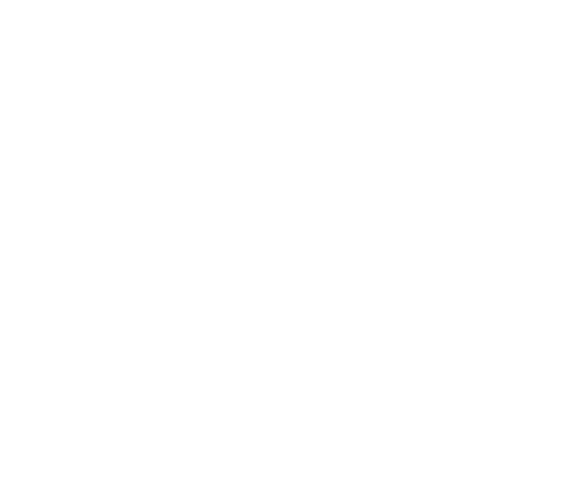 Orthobiologie & Spacer